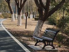 -宜兴龙背山森林公园