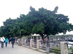 -黄埔古港