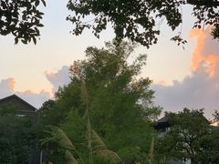 -木守西溪溪隐餐厅