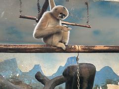 -石家庄市动物园