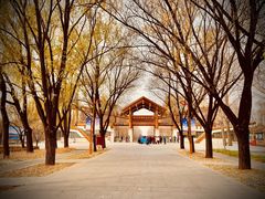 -野鸭湖国家湿地公园