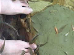 -天目湖涵田半山温泉