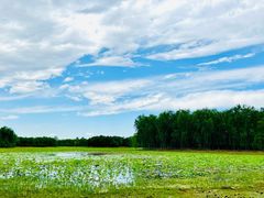 -东郊湿地公园