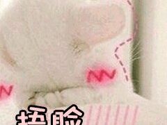 -池田寿司·4H鲜作(西直门凯德华联店)