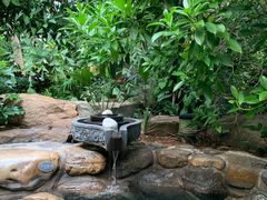 -厦门日月谷温泉渡假村