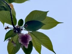 -苏州河梦清园环保主题公园