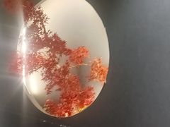 -金狮麟·新豫菜(杏石口路店)