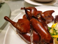 招牌红烧乳鸽-酌宴府The China Club·广州万富希尔顿酒店(云城东路店)