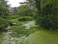 -西溪南古村落