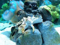 -太平洋海底世界