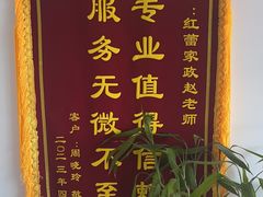 -红蕾家政·保姆·育儿嫂·钟点工