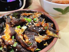 -江味龙虾馆·裸蓝龙虾(南山店)