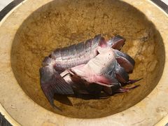 -云海肴云南菜·蒸汽石锅鱼(新奥店)