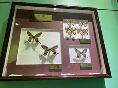 -上海昆虫博物馆