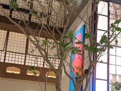 -桂满陇·海市蜃楼·黑金(国金店)