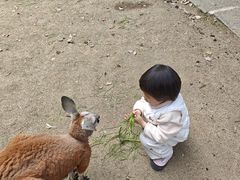 -宁波野生动物园