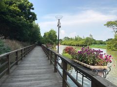 -大湾区中央湿地公园