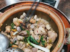 杂菜-华仔土鸡店(创意产业园店)