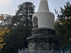 -大觉寺-停车场