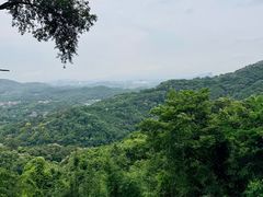 -广州市帽峰山景区