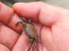 -奉贤海滩