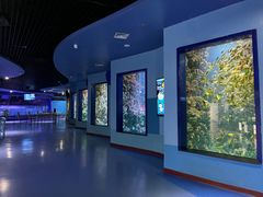 -海合安青岛极地海洋公园
