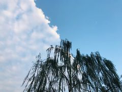 -鼓楼(西湖风景名胜区)