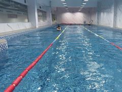 -小蓝鲸游泳培训基地(积水潭店)