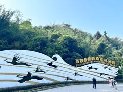 -西双版纳原始森林公园