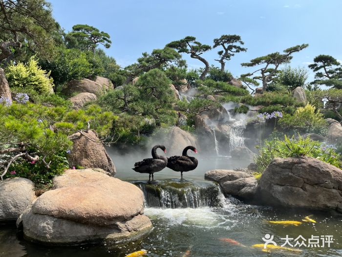 罗红摄影艺术馆图片