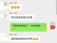 -momokira米努特·德文卷毛猫·棉花面纱犬