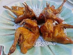 红烧乳鸽-明本湛江鸡•海鲜小厨(陈家祠店)