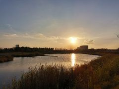 -鹦鹉洲湿地公园