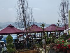-望湖烤鱼