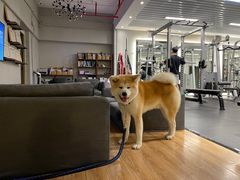 -YCHL Studios健身工作室(市二宫店)