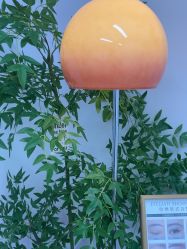 -变美丽半永久纹眉连锁·机器野生眉·洗眉