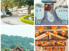 -广州神农草堂中医药博物馆