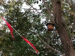 -哈密回王府景区