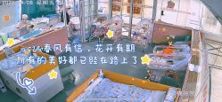 点击看大图 -国际月月生母婴月子中心(旗舰店)