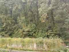 -杭州花家山庄