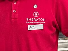 -新都绿城喜来登酒店大堂吧