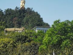 -南山植物园