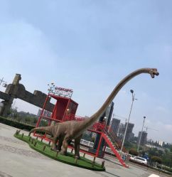 -恐龙探索乐园(磁器口店)