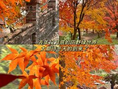 -田野绿世界