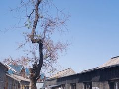 -杨柳青古镇
