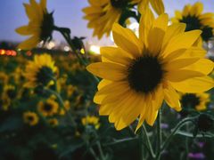 -武汉理工大学（南湖新校区）-图书馆