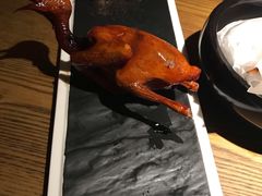 -大鸽饭(岗顶店)
