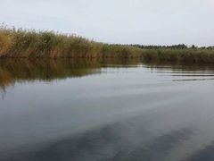 -白渔泡湿地公园