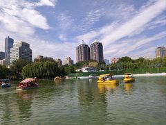 -团结湖公园