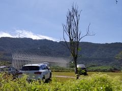 -风云岭森林公园